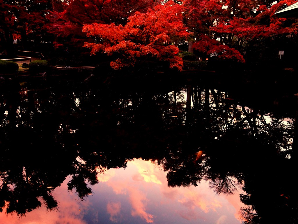 大田黒公園の紅葉