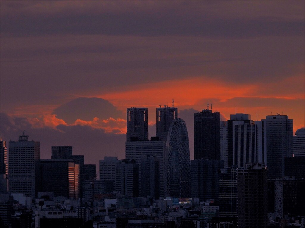 富士山夕景