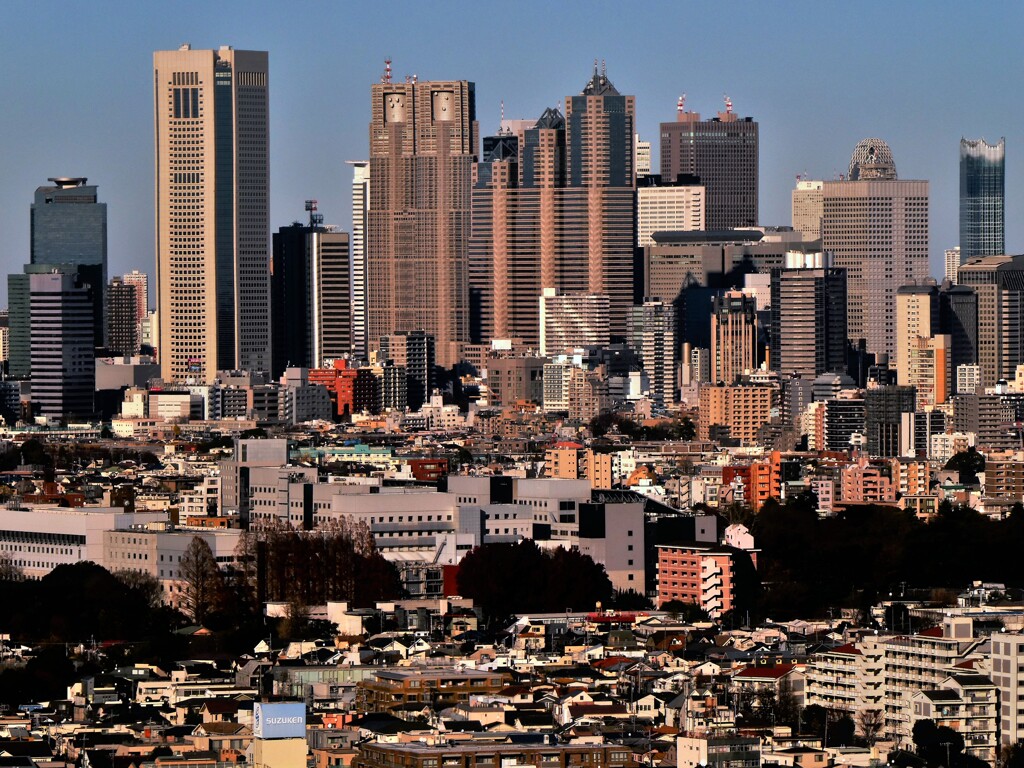 新宿の超高層ビル群