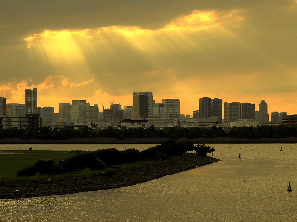 葛西臨海公園の夕景