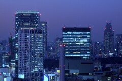 渋谷スクランブルスクエアを望む