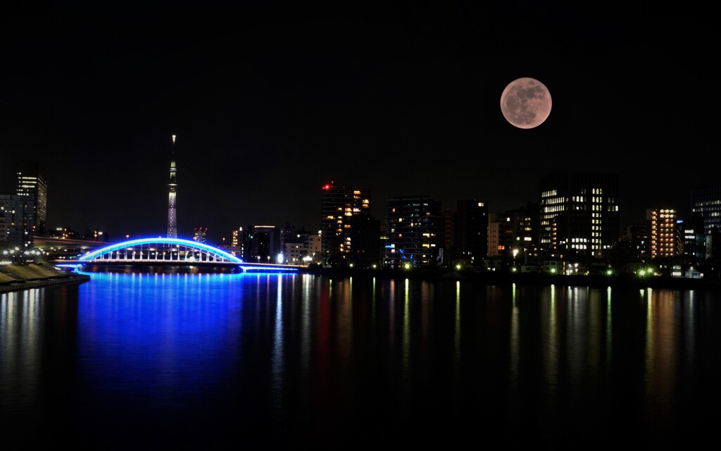 永代橋とスカイツリー