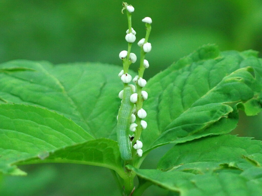 いつまでも一緒に