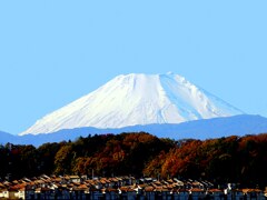 昨日の富士山