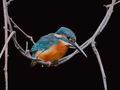 ブランコに乗って