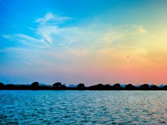 葛西臨海公園の夕景