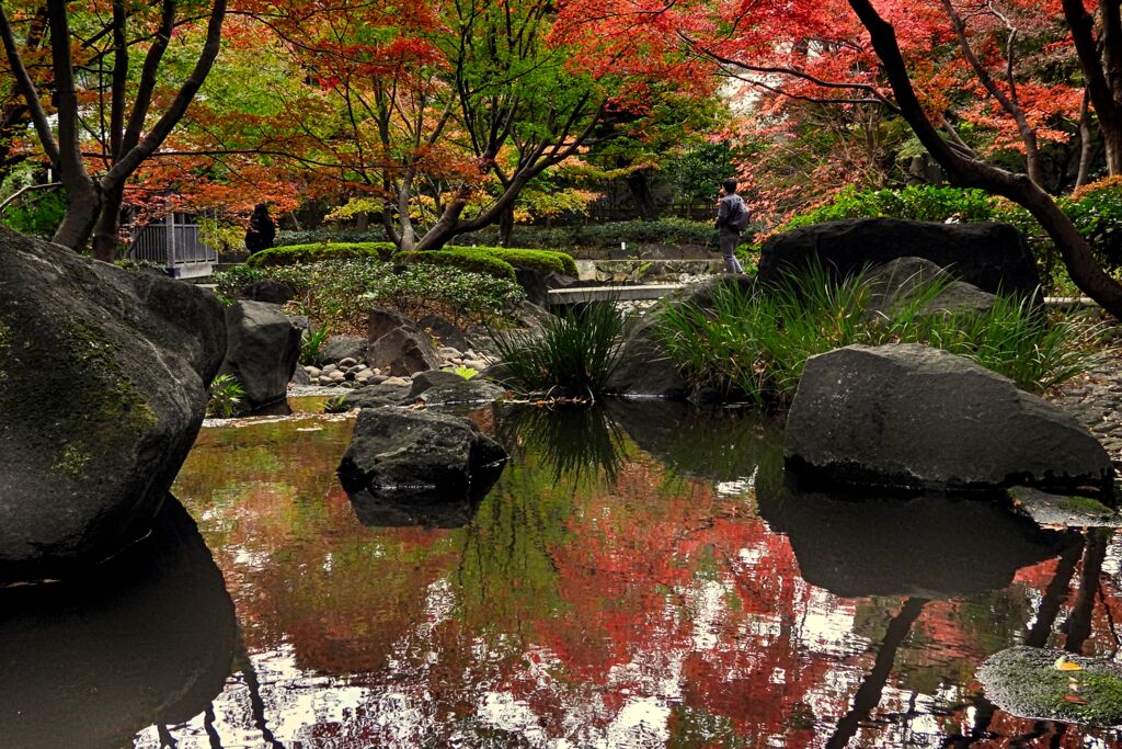 太田黒公園の紅葉