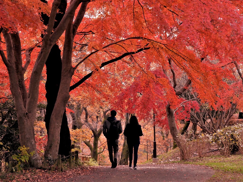 桜ヶ丘公園にて