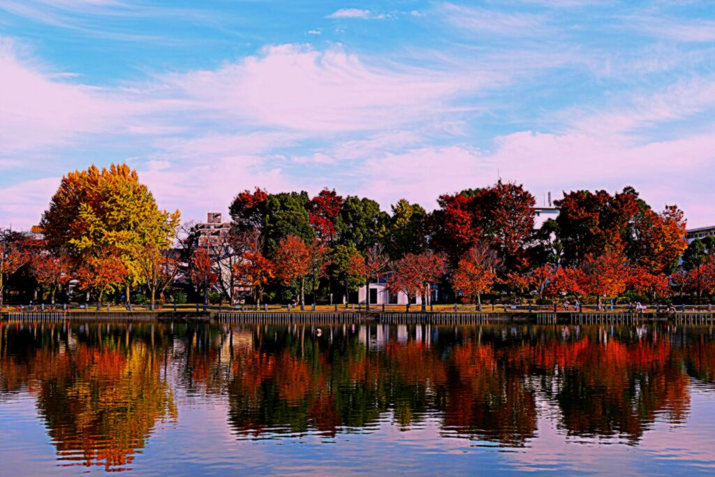 浮間公園の風景