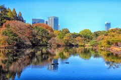 御苑中池の風景