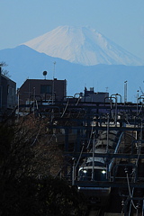 富士山と小田急電車