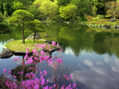 日本庭園の風景