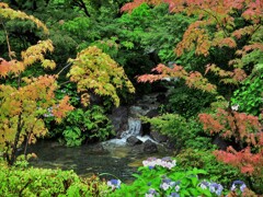 檜町公園にて