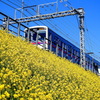 菜の花電車