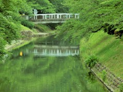 松川の風景