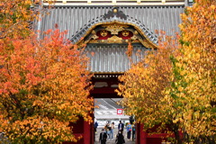 旧台徳院霊廟惣門の紅葉