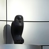 澁谷のフクロウ