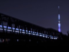 京成電車とスカイツリー