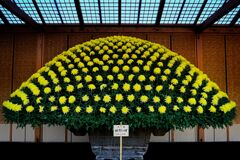 裾野の輝