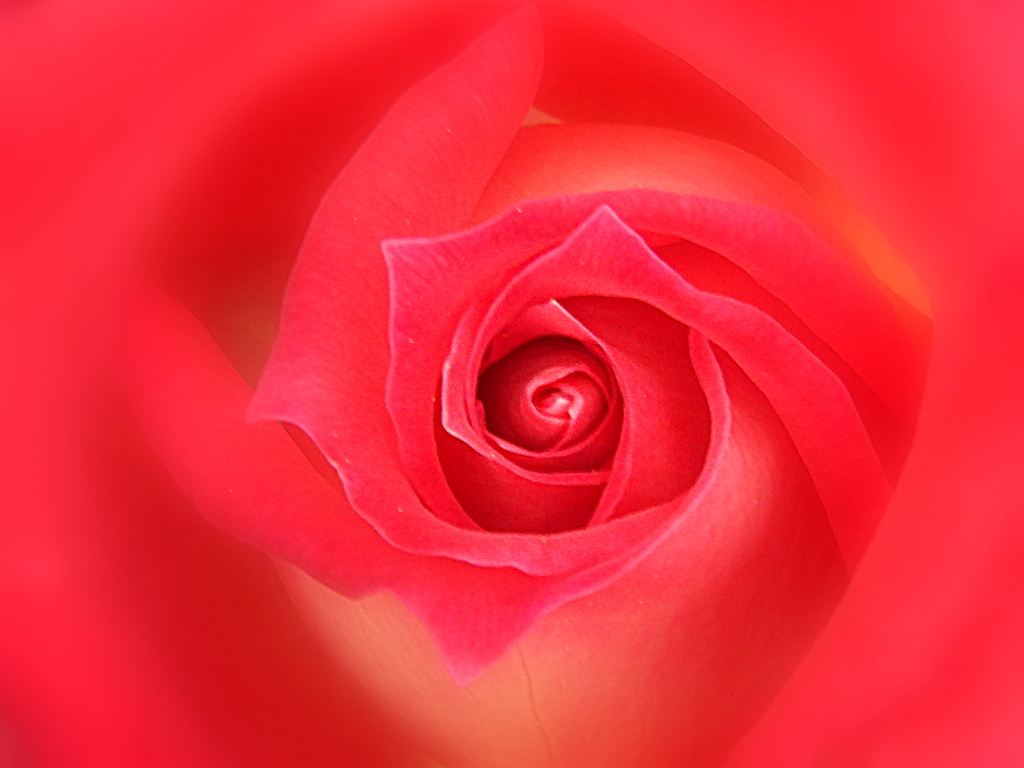 Colorama