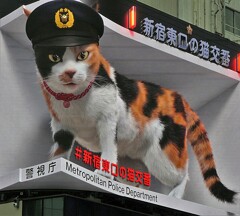 #新宿東口の猫交番