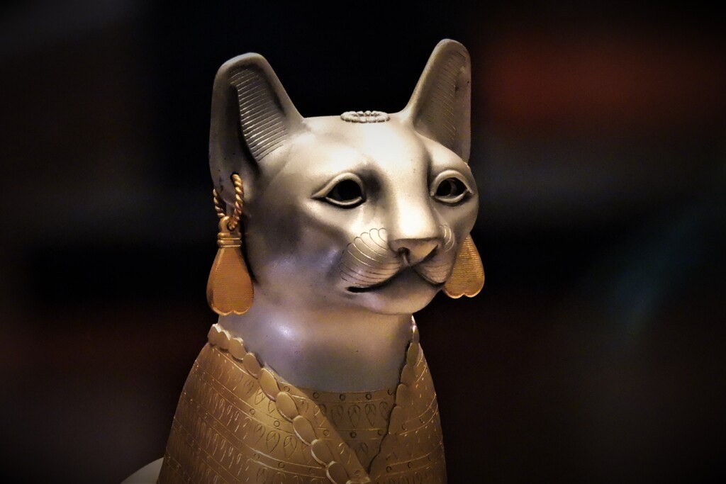 埃及猫置物