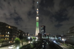 陸橋の上から