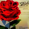 倉木麻衣 25th Anniversary