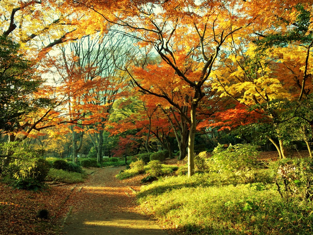 昨日の日比谷公園