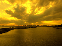 葛西臨海公園の夕景