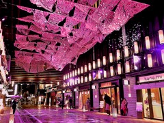 桜色に染まる日本橋