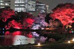 芝離宮恩賜庭園ライトアップ