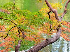 弁天池の紅葉