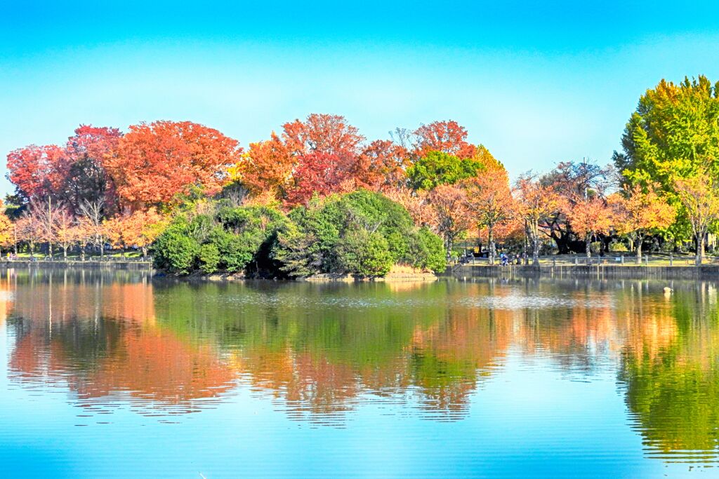 浮間公園