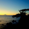 千貫松と富士山
