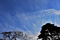 湧きたつ雲