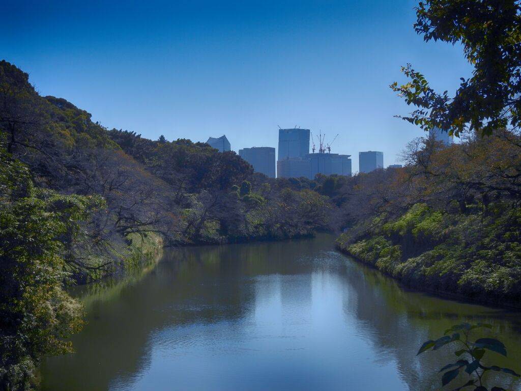東京タワーが見えなくなった