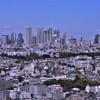 新宿を望む