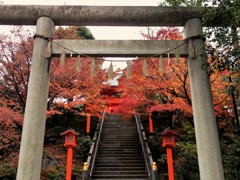 穴八幡の紅葉