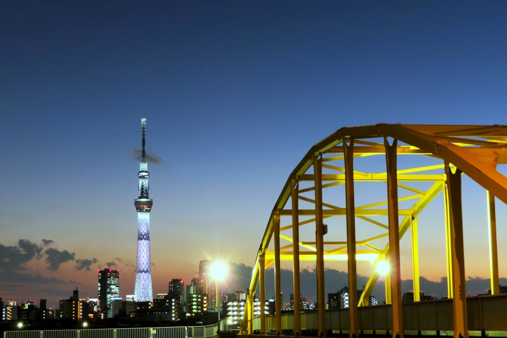 東四ツ木避難橋とスカイツリー By Sam777 Id 写真共有サイト Photohito