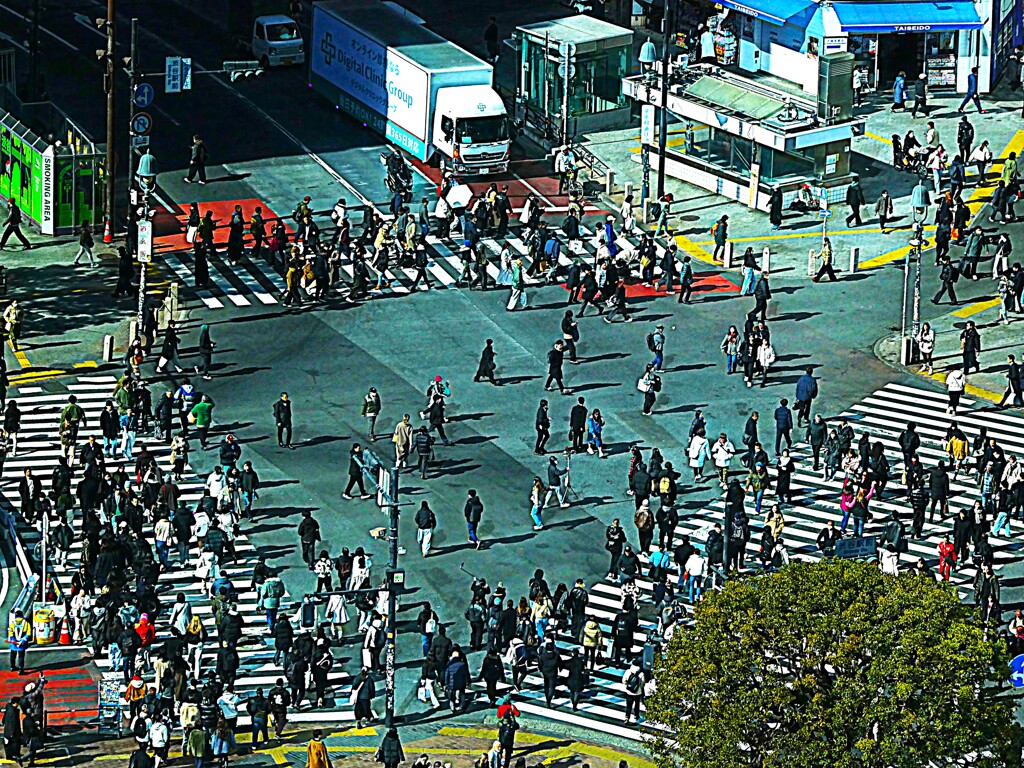 渋谷スクランブル交差点