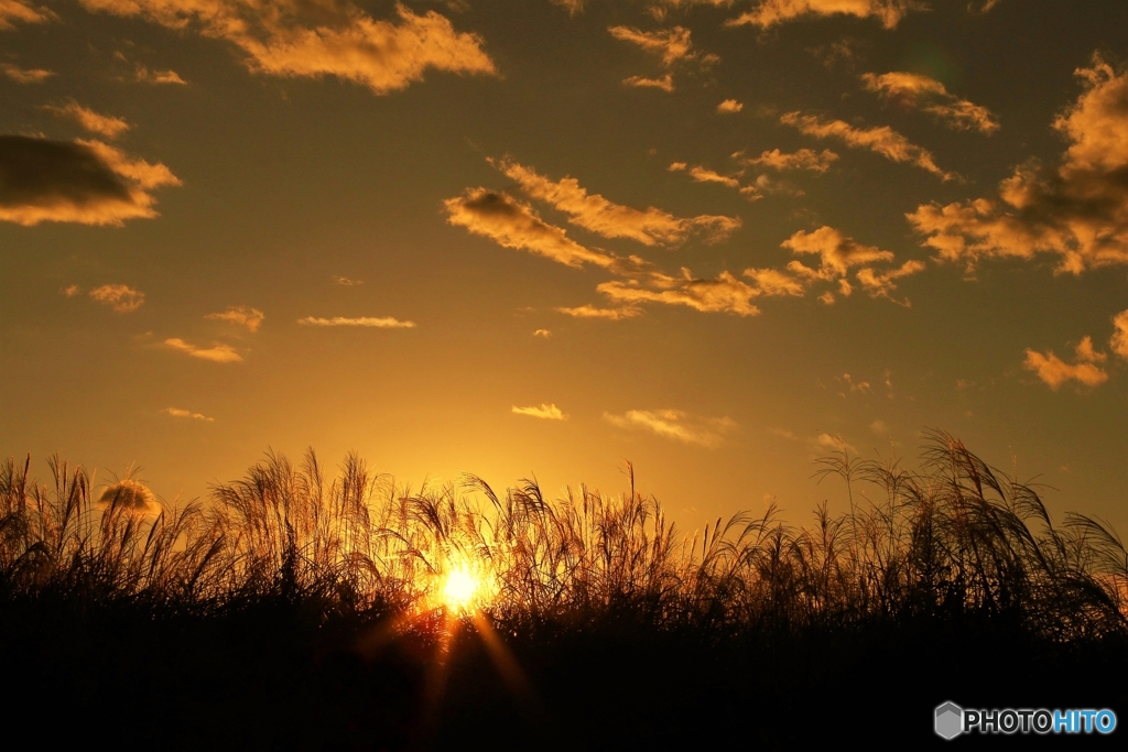 10月夕刻お写んぽ♪