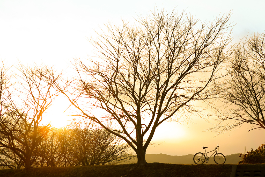 黄昏　bicycle ♪