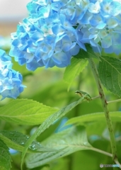 雨宿り ♪