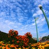 花壇のミッキー