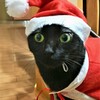 サンタが家にやってきた！！！