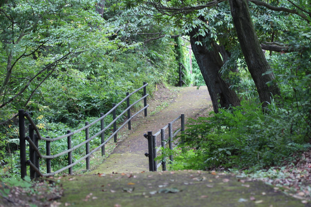 勿来の関公園　遊歩道