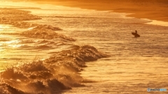 Golden waves