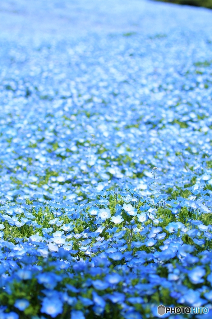 上～までぶる－♪
