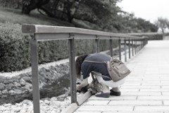 撮影に夢中